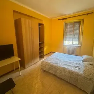 Homestay Forestar *