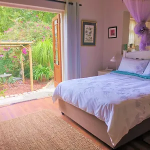 ❂dragonfly Dreams: Colour, Elegance, Hidden Gem * Greyton