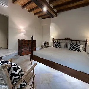 Palazzo Balbo Di Vinadio